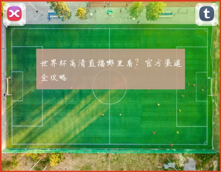 世界杯高清直播哪里看？官方渠道全攻略