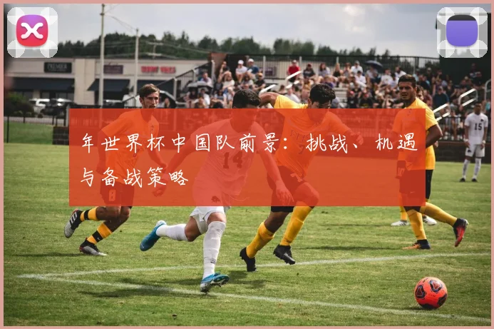 年世界杯中国队前景：挑战、机遇与备战策略