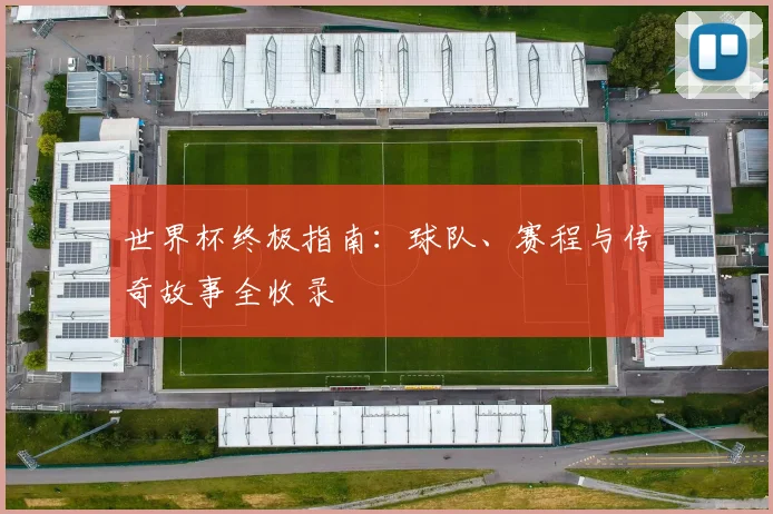 世界杯终极指南：球队、赛程与传奇故事全收录